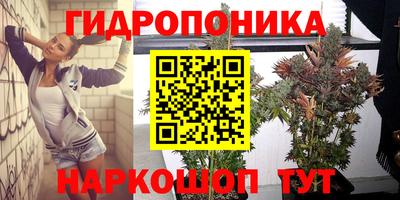 a pvp Рязань
