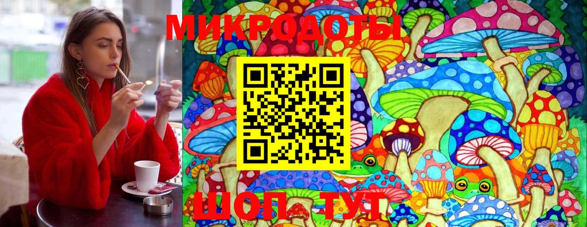 Пенза  Псилоцибиновые грибы MAGIC MUSHROOMS  Галлюциногенные грибы Cubensis  Вход с VPN 